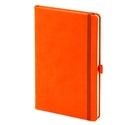 13x21 Kızılcık Defter