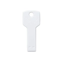 Anahtar USB Bellek